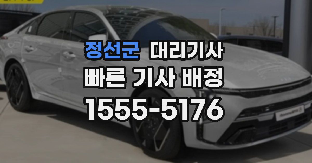 정선군 대리기사
