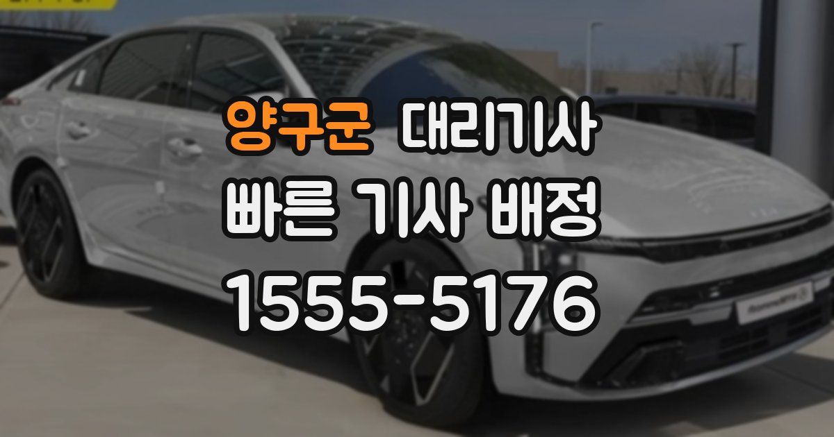 양구군 대리기사