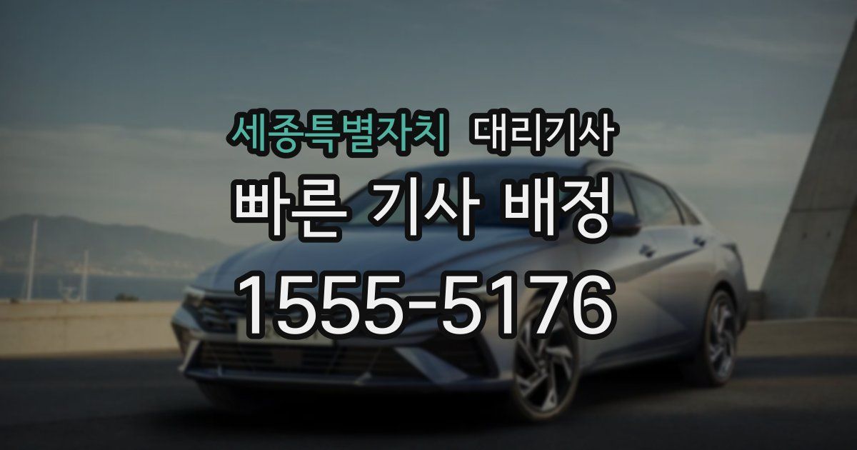 세종특별자치 대리기사