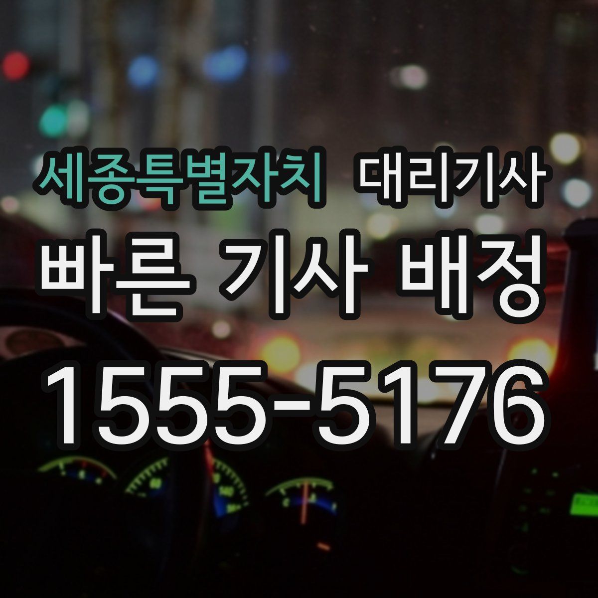 세종특별자치 대리기사