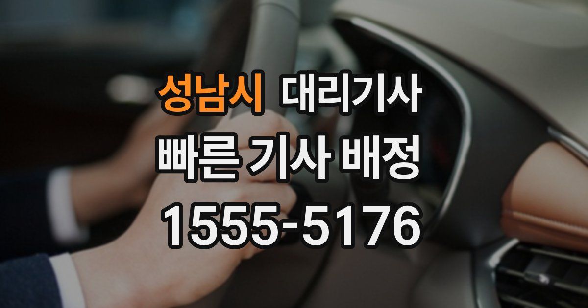 성남시 대리기사