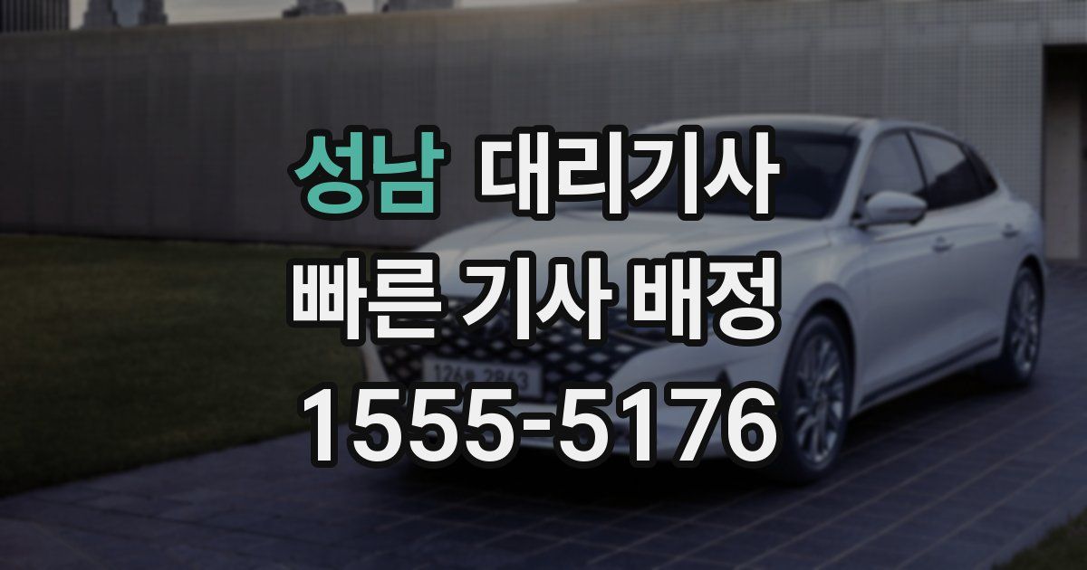 성남 대리기사