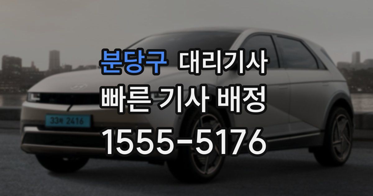 분당구 대리기사