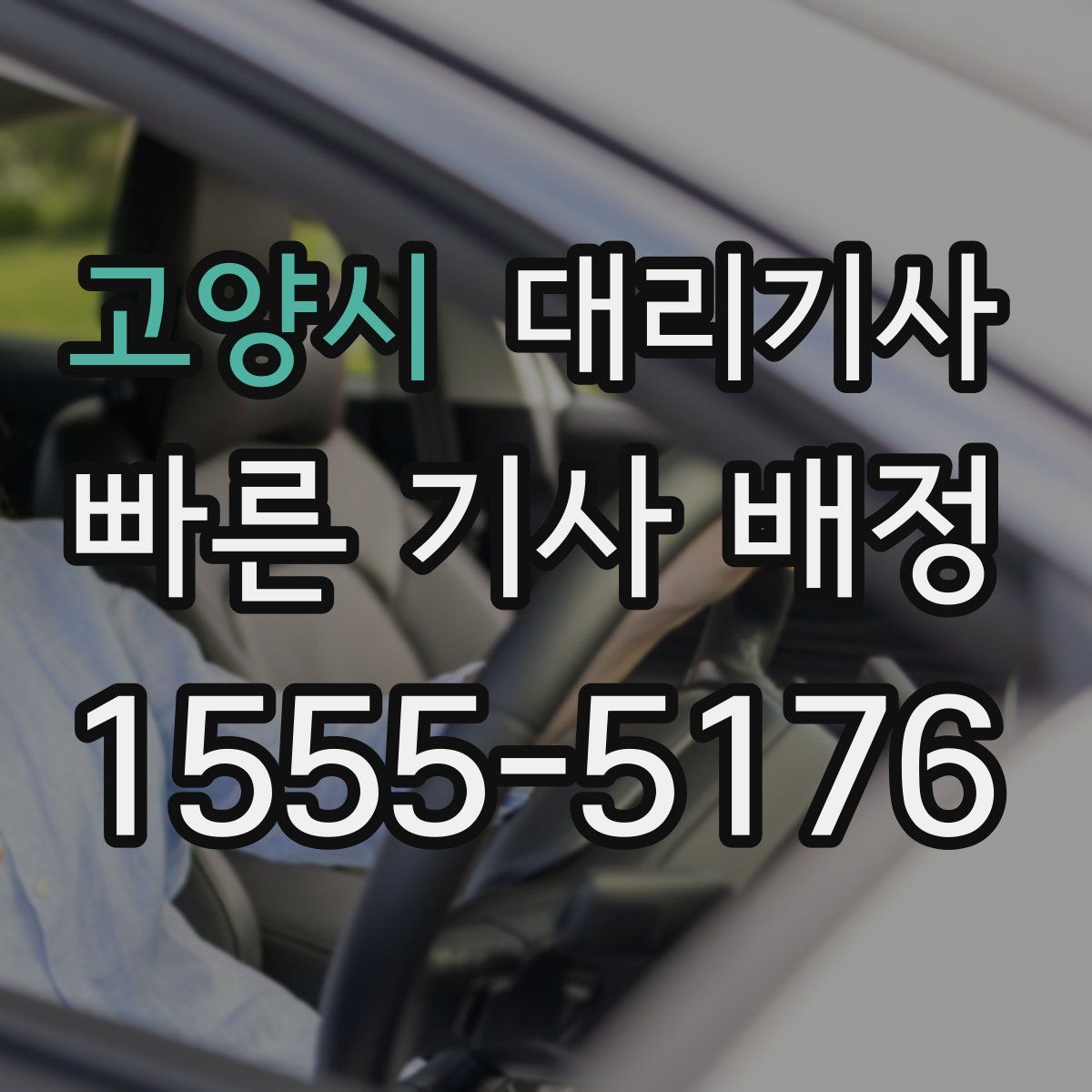 고양시 대리기사