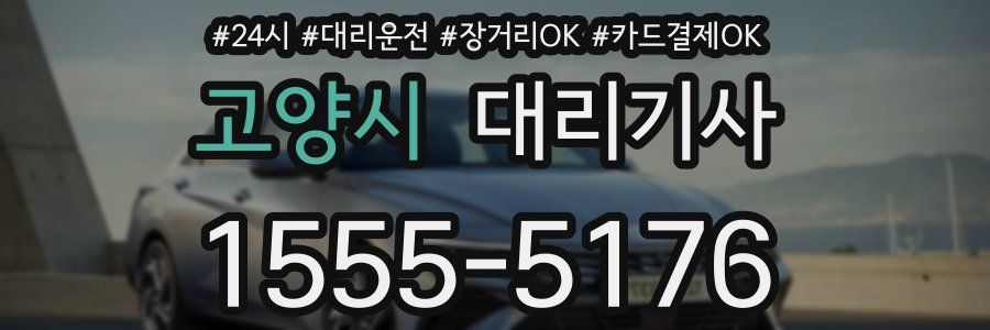 고양시 대리기사