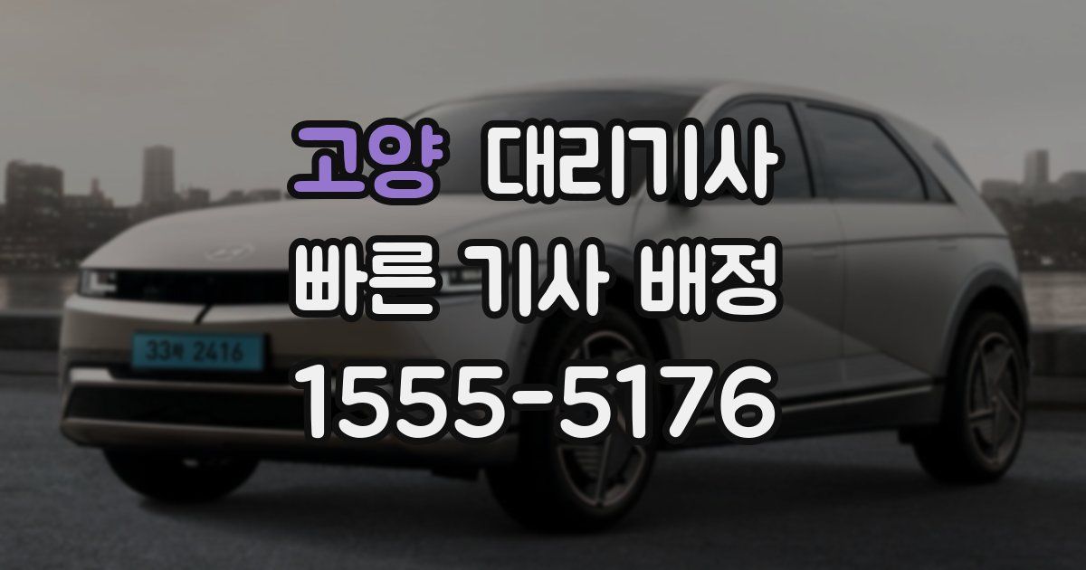 고양 대리기사