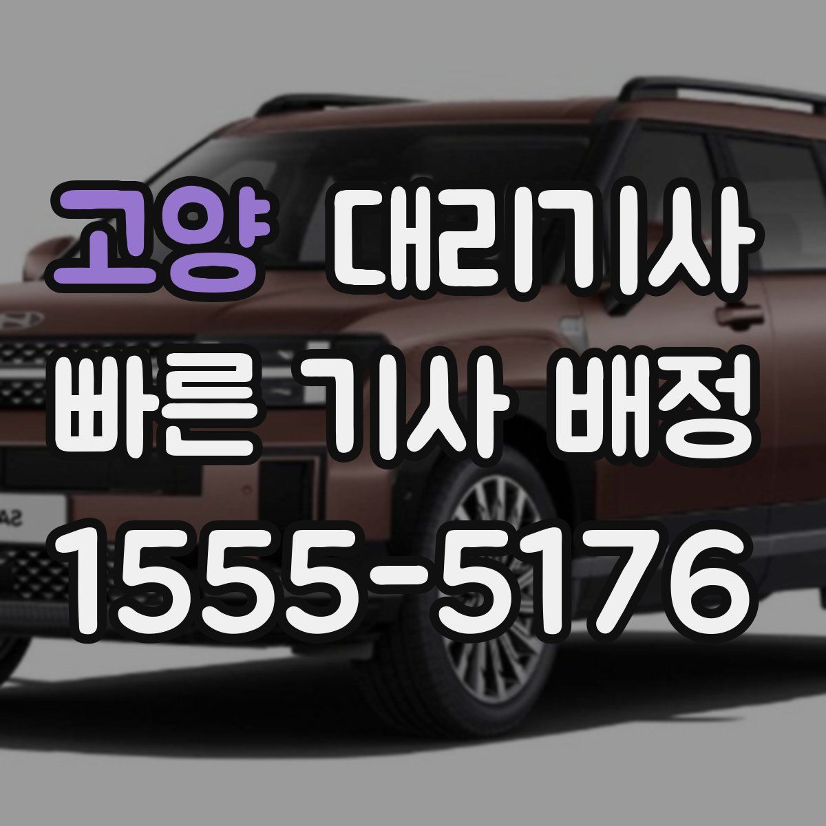 고양 대리기사