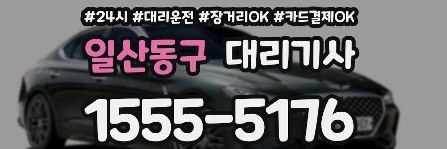 일산동구 대리기사