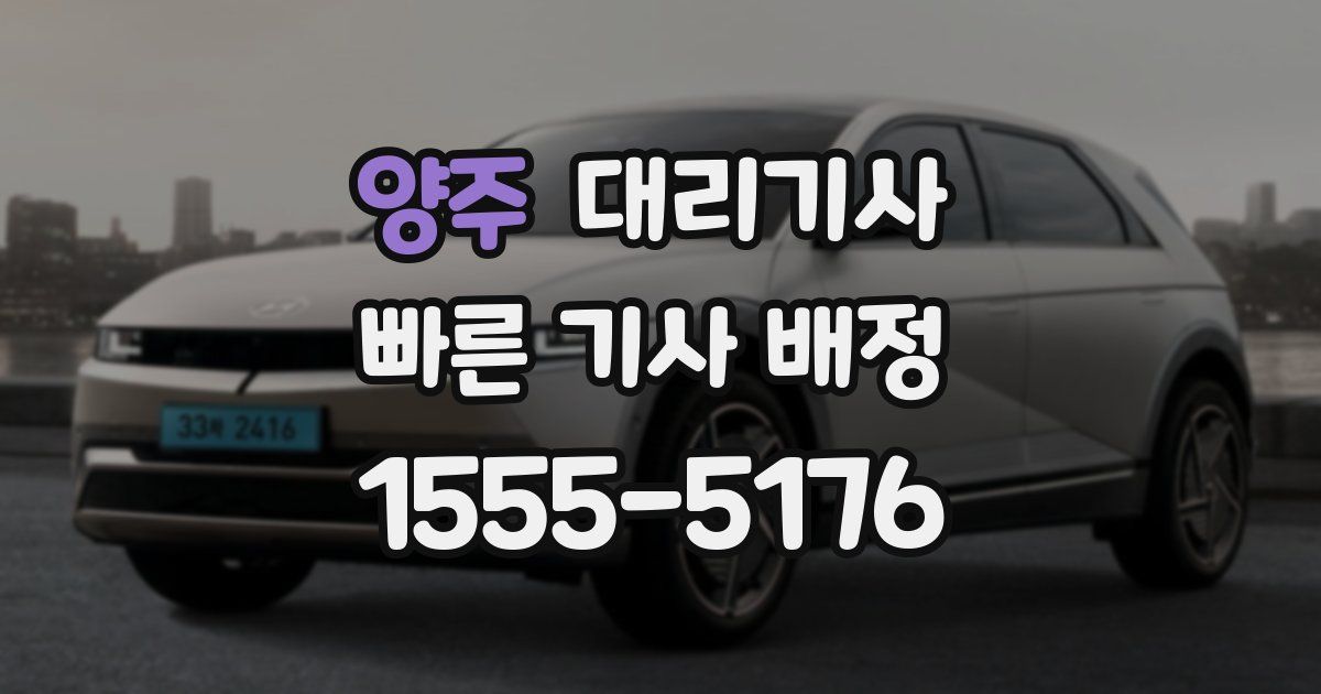 양주 대리기사