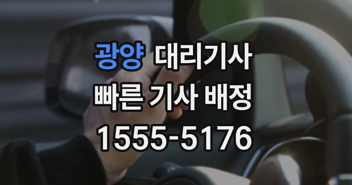 광양 대리기사