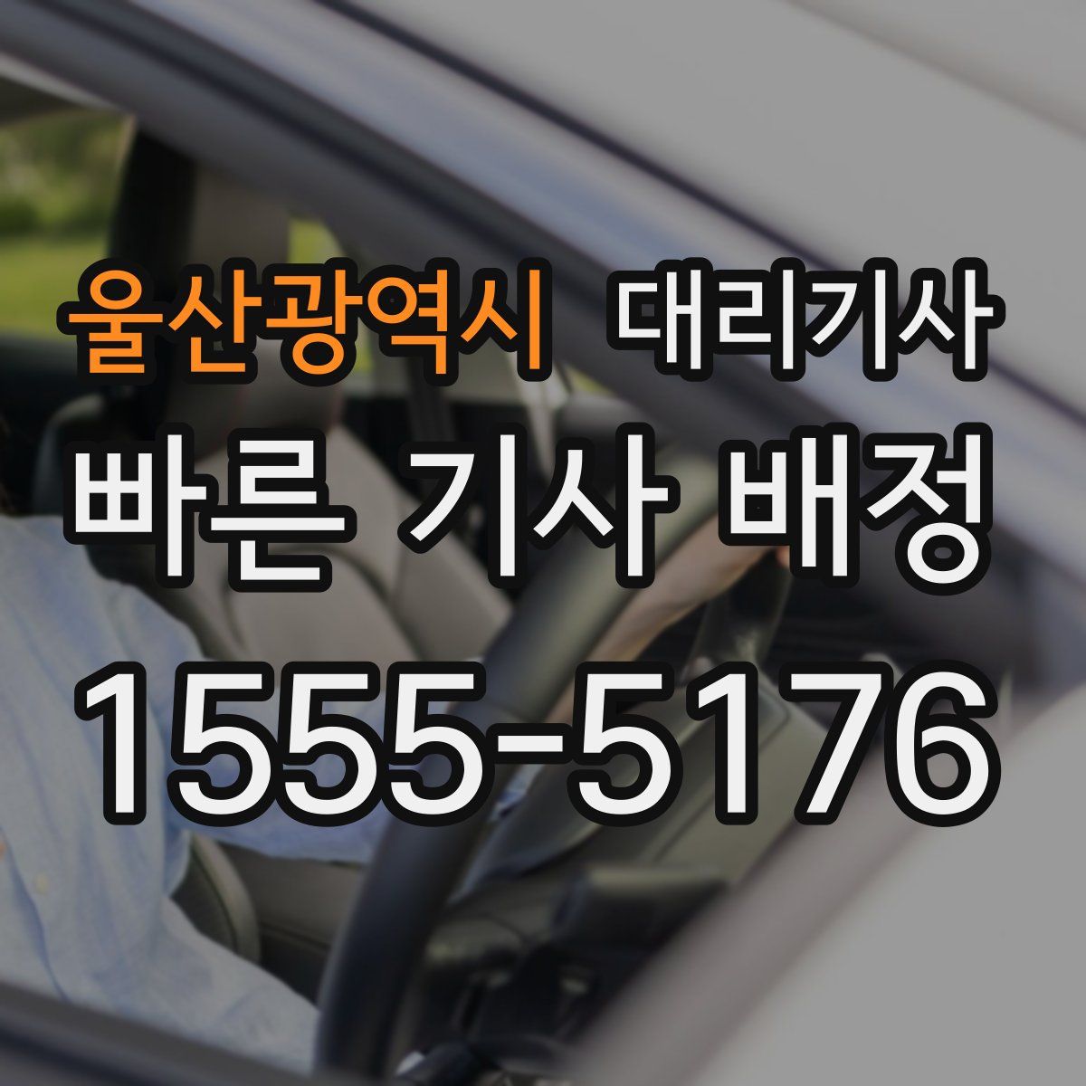울산광역시 대리기사