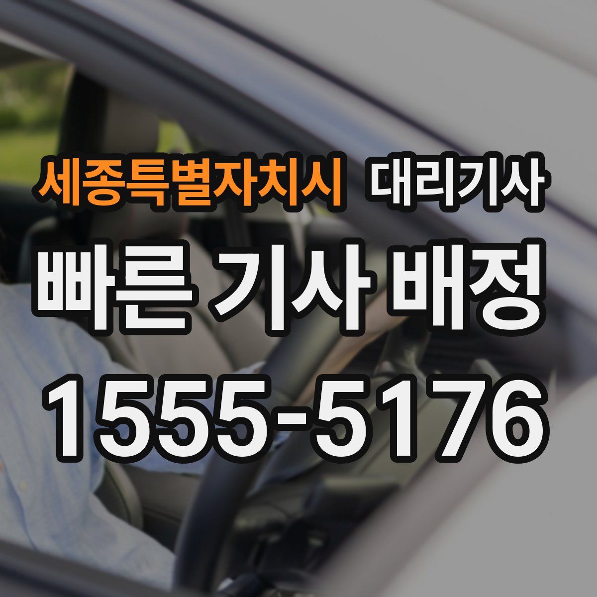 세종특별자치시 대리기사