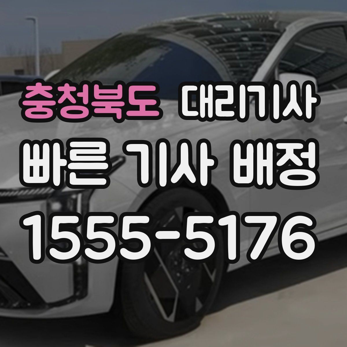 충청북도 대리기사 차량 종류별 호출 가능 여부 확인