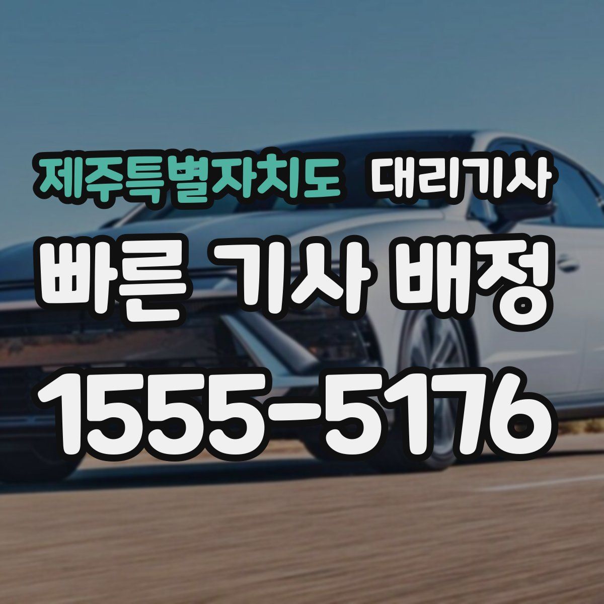 제주특별자치도 대리기사