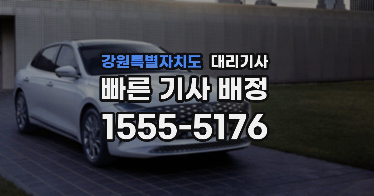 강원특별자치도 대리기사