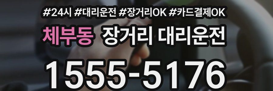 체부동 장거리 대리운전