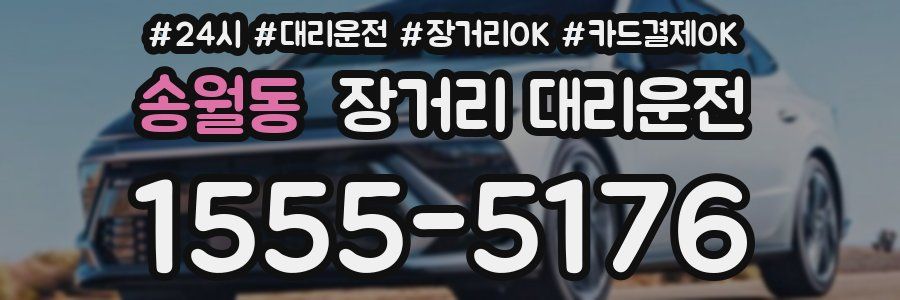 송월동 장거리 대리운전