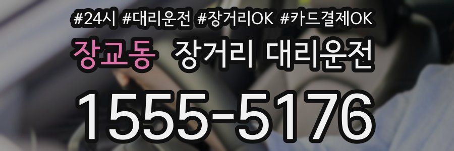 장교동 장거리 대리운전