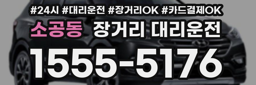 소공동 장거리 대리운전