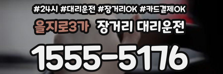 을지로3가 장거리 대리운전