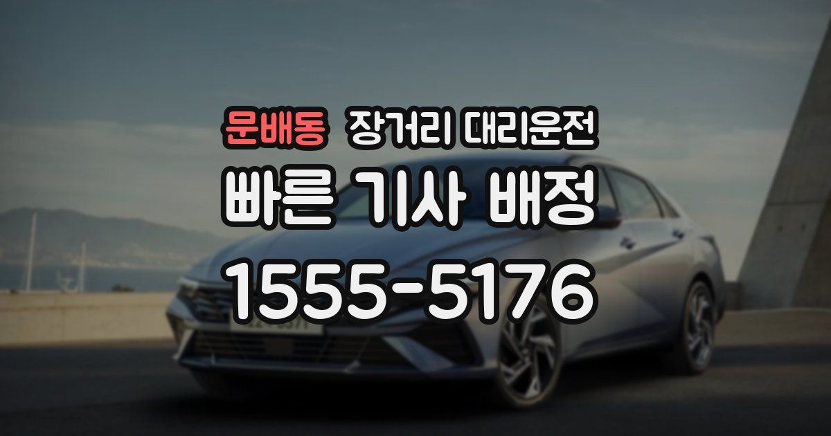 문배동 장거리 대리운전