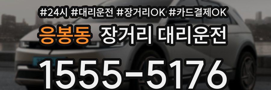 응봉동 장거리 대리운전