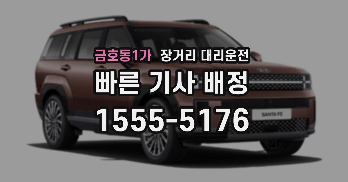 금호동1가 장거리 대리운전