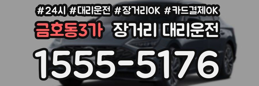 금호동3가 장거리 대리운전