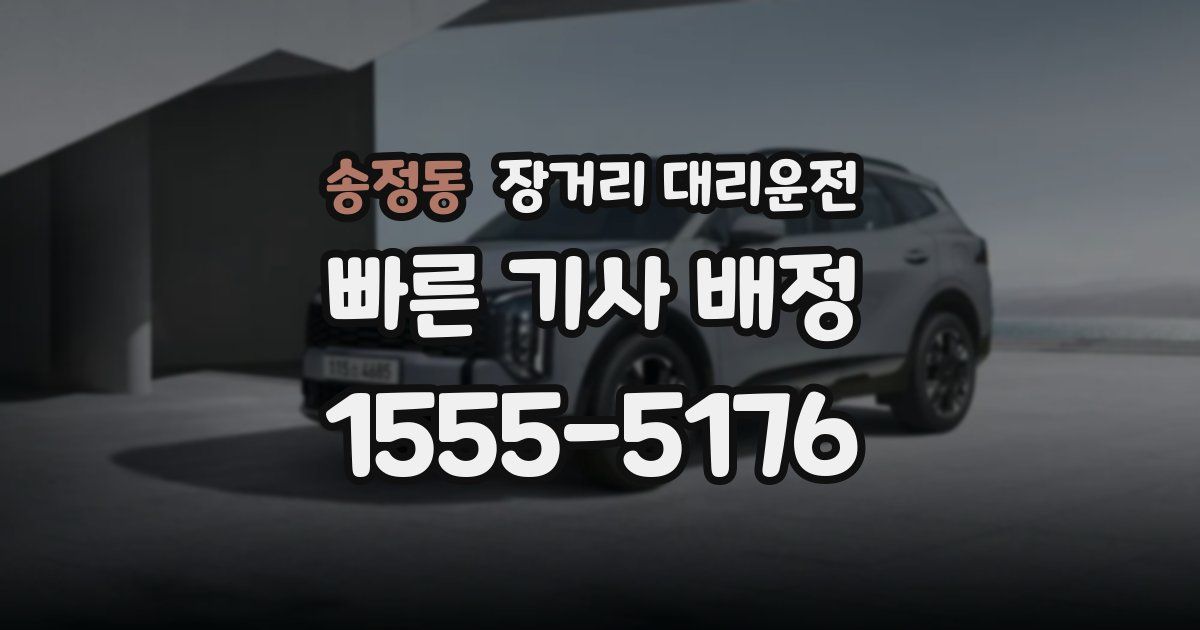 송정동 장거리 대리운전