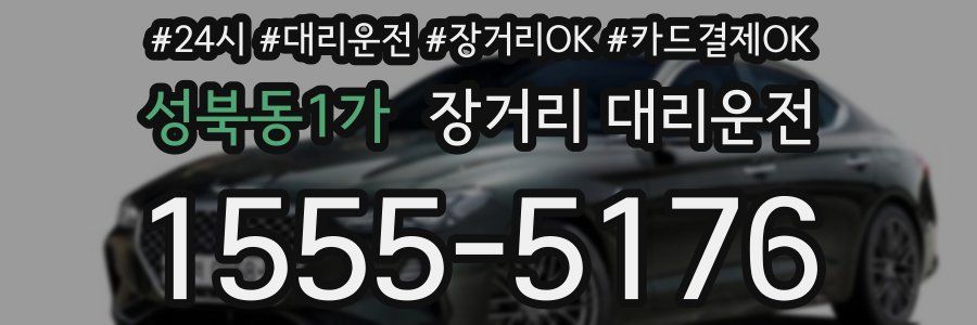 성북동1가 장거리 대리운전