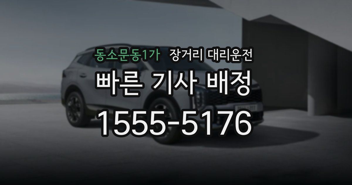 동소문동1가 장거리 대리운전