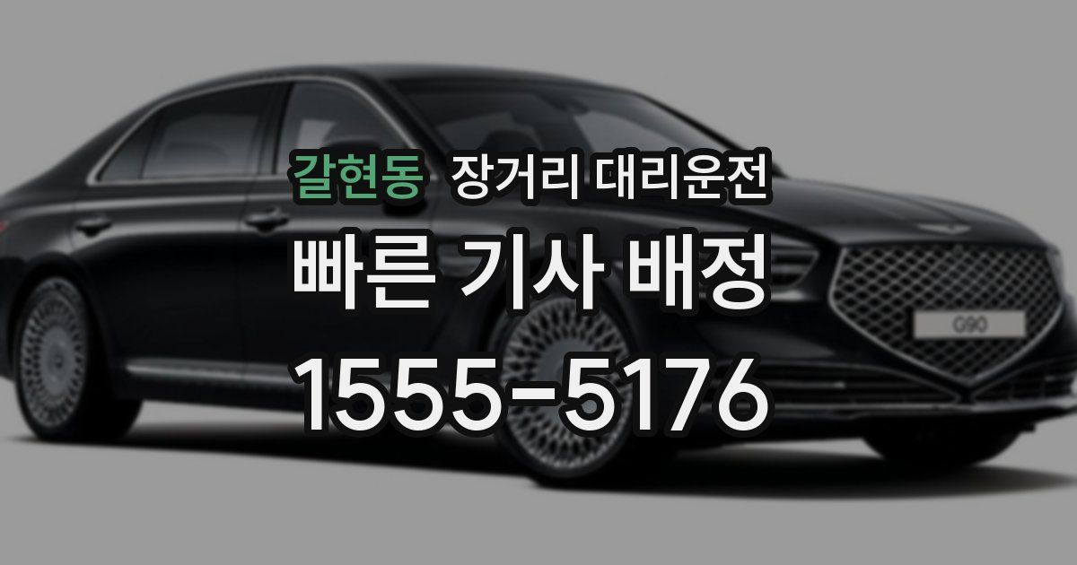 갈현동 장거리 대리운전