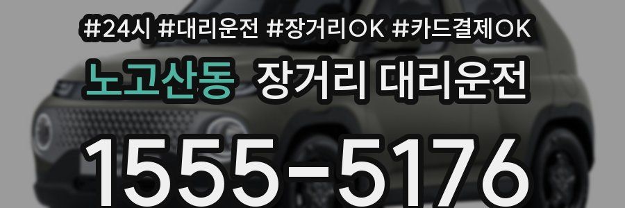 노고산동 장거리 대리운전
