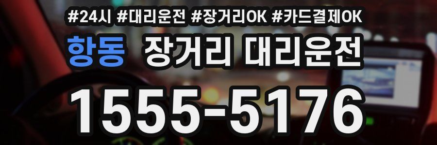 항동 장거리 대리운전