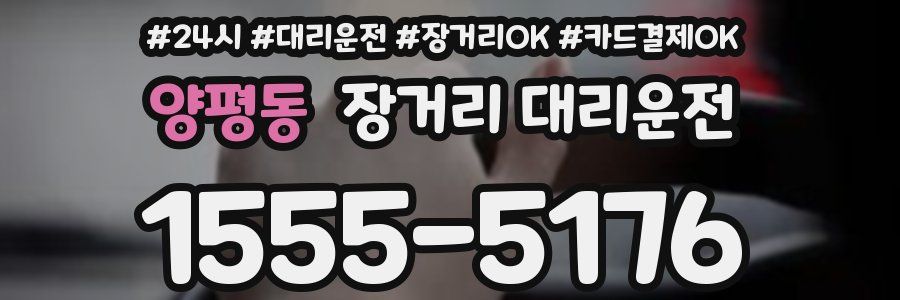 양평동 장거리 대리운전