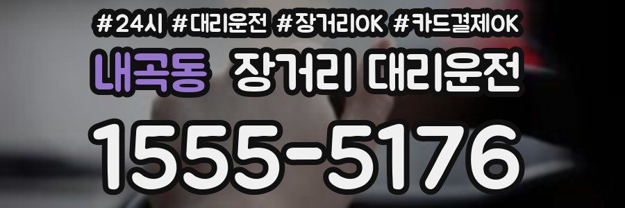 내곡동 장거리 대리운전
