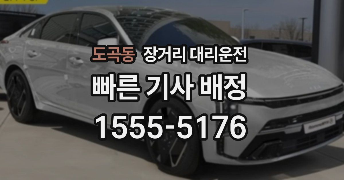 도곡동 장거리 대리운전