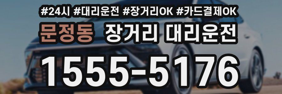 문정동 장거리 대리운전