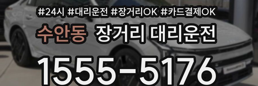 수안동 장거리 대리운전