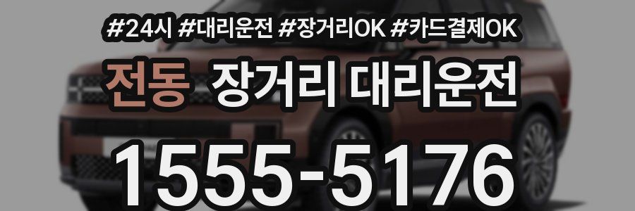 전동 장거리 대리운전