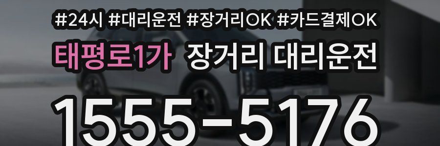 태평로1가 장거리 대리운전