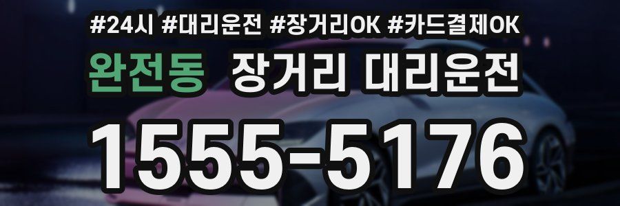 완전동 장거리 대리운전