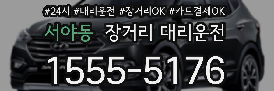 서야동 장거리 대리운전