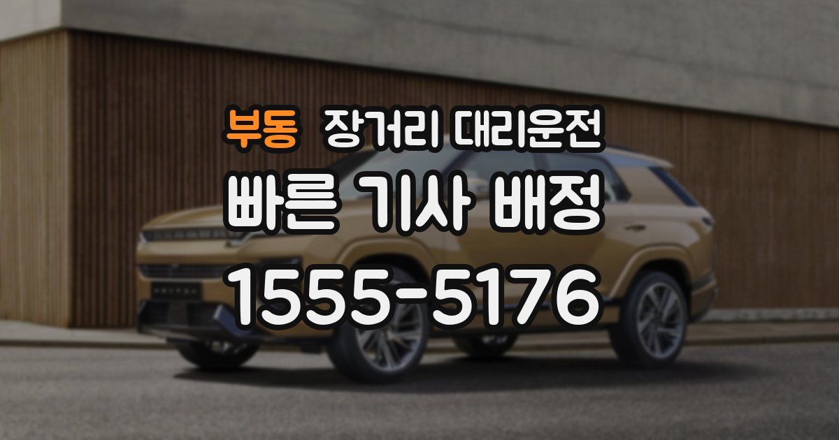 부동 장거리 대리운전