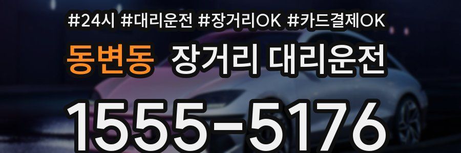 동변동 장거리 대리운전