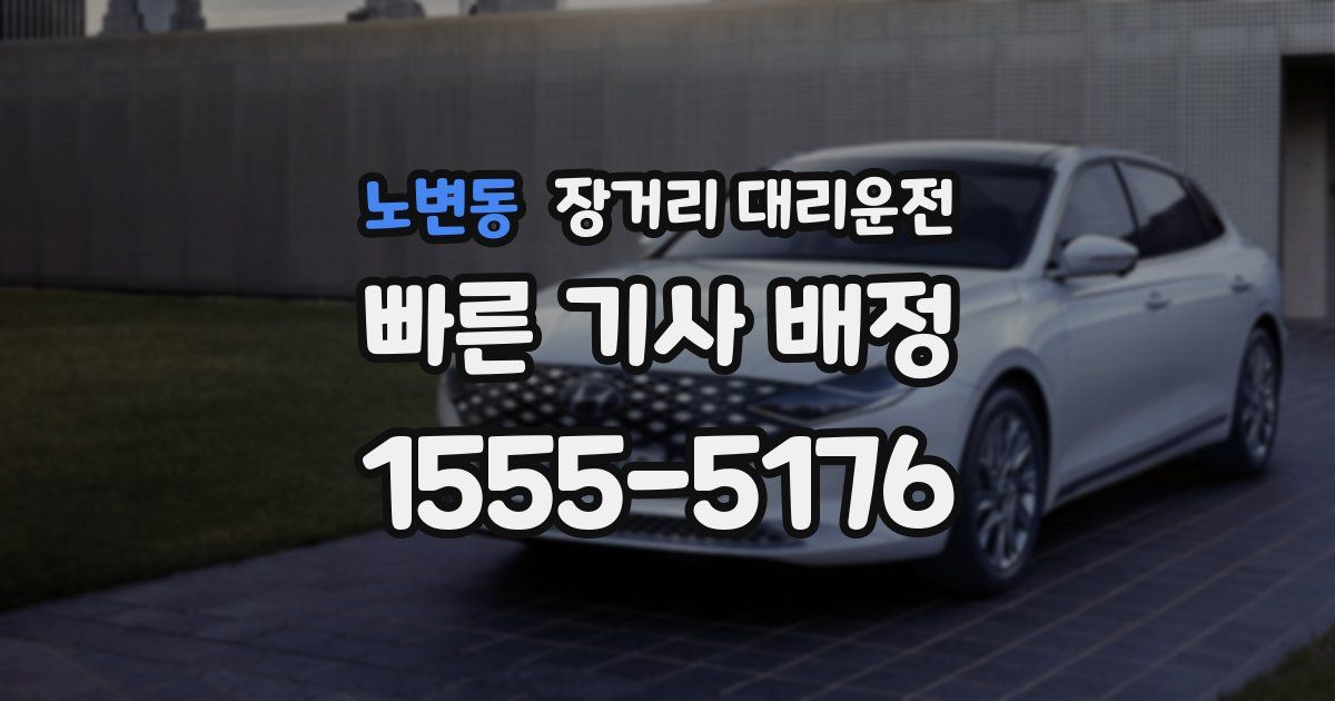 노변동 장거리 대리운전
