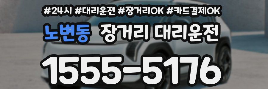 노변동 장거리 대리운전
