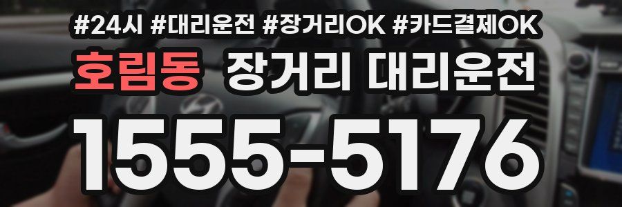 호림동 장거리 대리운전