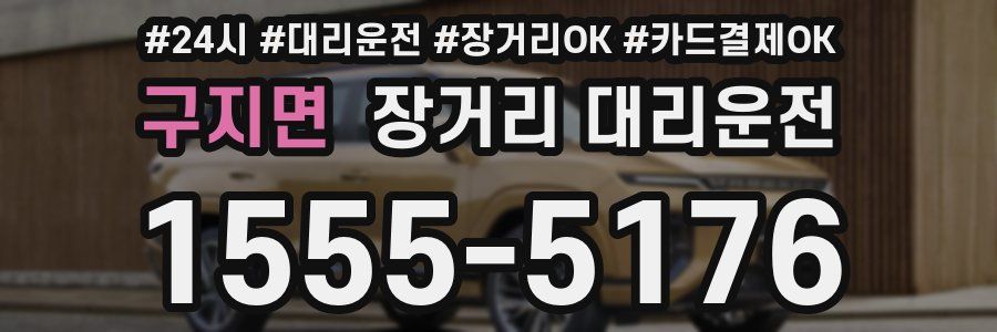 구지면 장거리 대리운전