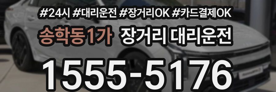 송학동1가 장거리 대리운전